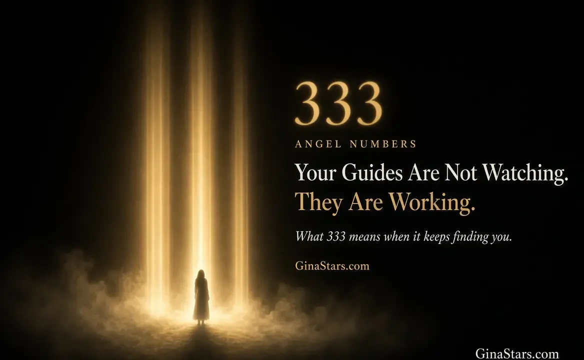 https://ginastars.com/wp-content/uploads/2026/09/L8hHt-1168x720.webp