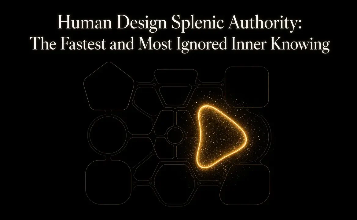https://ginastars.com/wp-content/uploads/2026/09/zmyFi-1168x720.webp